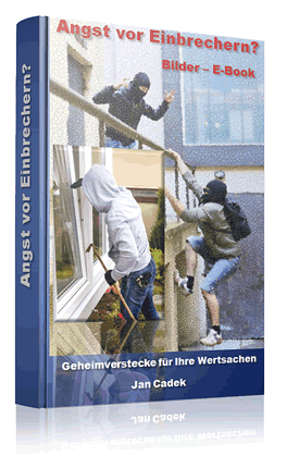 cover_einbrecher_shop.gif