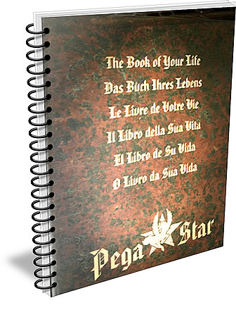 cover_pegastar_shop.jpg